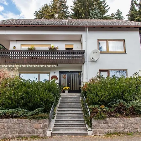Schwarzwald Renovated Design Grey Studio Апартаменты Friedenweiler