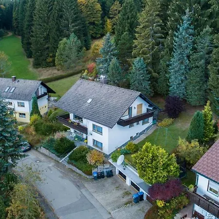 Апартаменты Schwarzwald Renovated Design Grey Studio *
