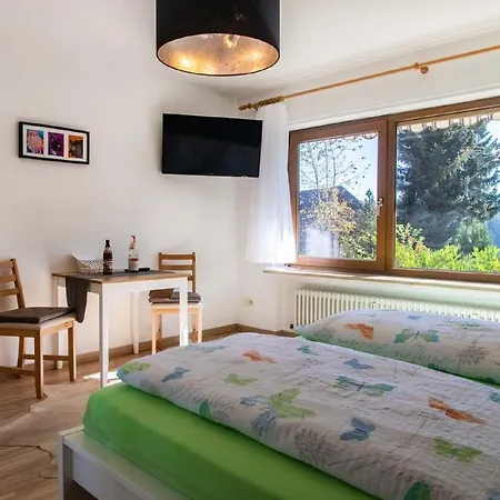 Апартаменты Schwarzwald Renovated Design Grey Studio *